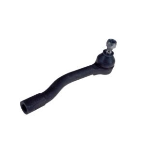 TERMINAL DERECHA VIVANT